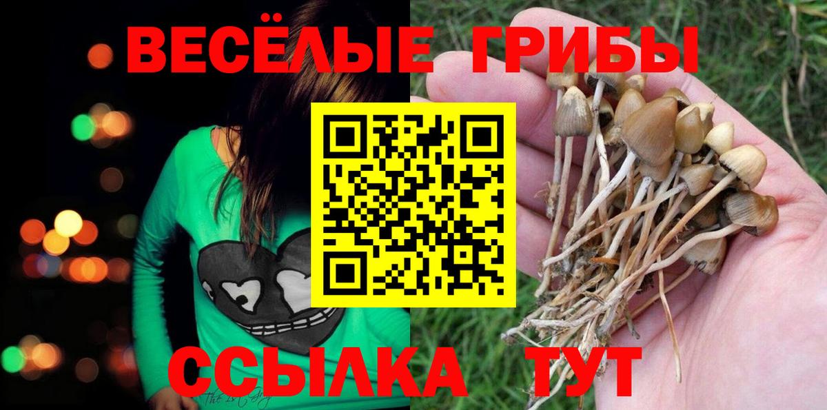 Галлюциногенные грибы ЛСД  Вход с VPN  Звенигород 