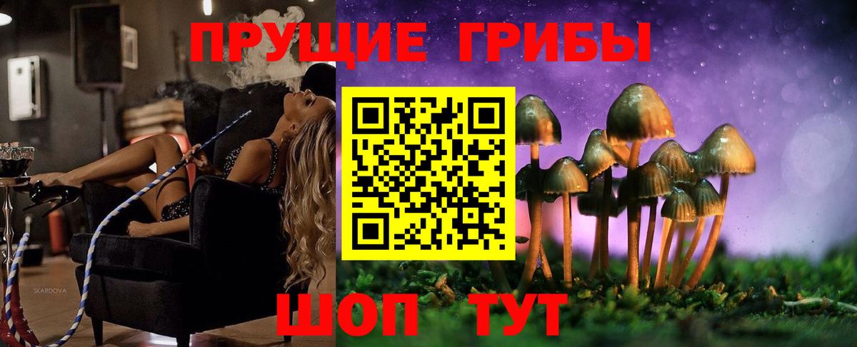 Псилоцибиновые грибы ЛСД Звенигород
